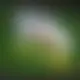 Zagraj Let It Ride z Playtech w {"id":75,"name":"Sportaza","design":{"logo":"sportaza-logo-IDhXnH.svg","favicon":"sportaza-favicon-osypnN.png","banner_poker":"sportaza-poker-vkHqDn.webp","banner_mobile":"sportaza-mobile-ndefyP.webp","block_bg_color":"#1E3A8A","image_bg_color":"#172554","banner_bg_color":"#1e3a8a","block_text_color":"#ffffff","primary_bg_color":"#172554","banner_text_color":"#fff","footer_logos_type":"white","block_round_radius":"0","primary_text_color":"#ffffff","button_round_radius":"0","banner_welcome_bonus":"sportaza-welcome-bonus-11jCyE.webp","primary_button_bg_color":"#a3e635","primary_button_text_color":"#172554","secondary_button_bg_color":"#F8FAFC","secondary_button_text_color":"#172554"},"created_at":"2025-05-14T09:25:22.000000Z","updated_at":"2025-05-14T09:25:22.000000Z","deleted_at":null}
